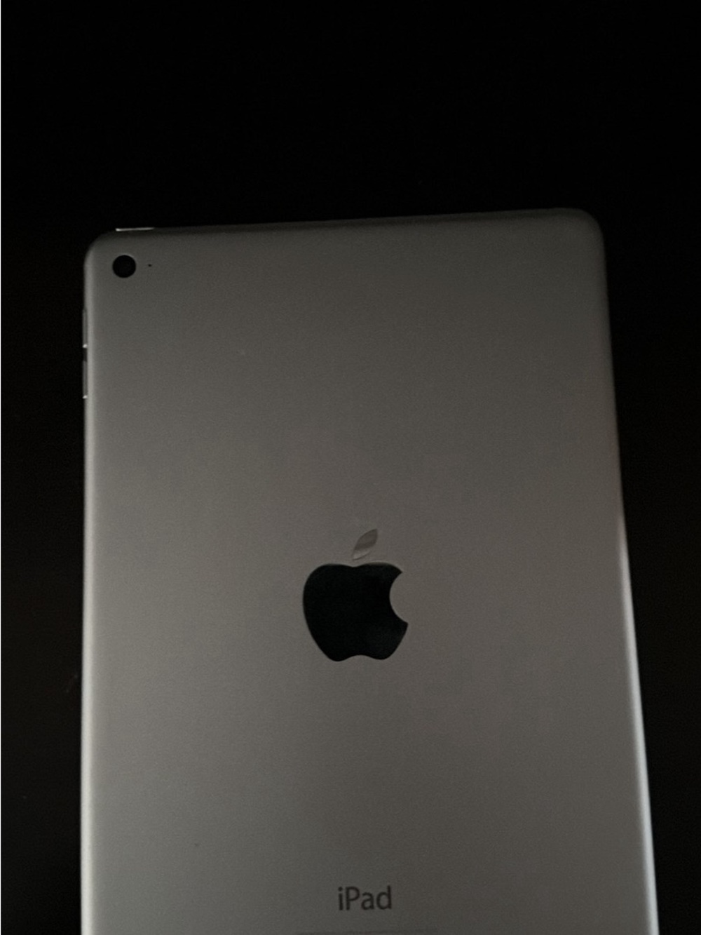 Apple iPad  Mini 4 in Space Gray - Slim Metal Back